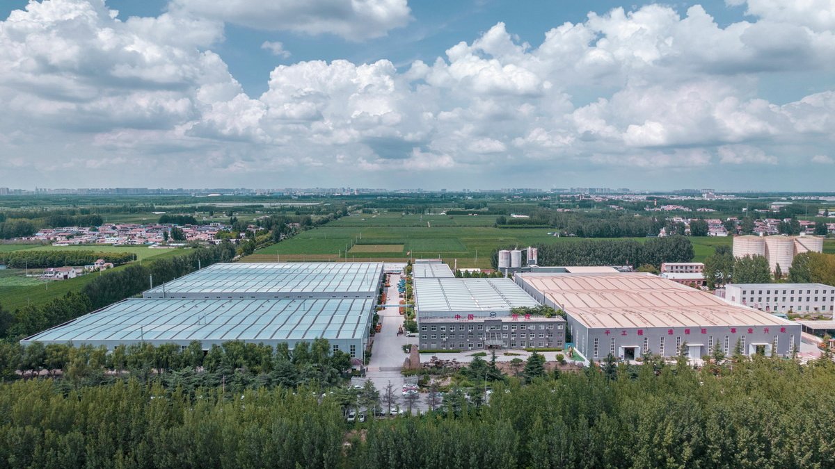 1692169241922343.jpg 111.jpg